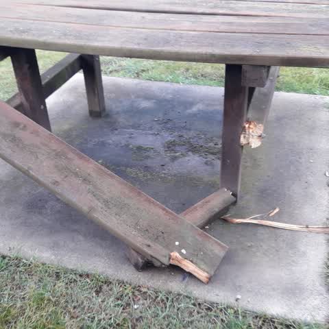 Parks, a report photo