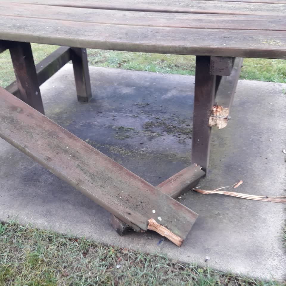 The photograph attached to this parks report