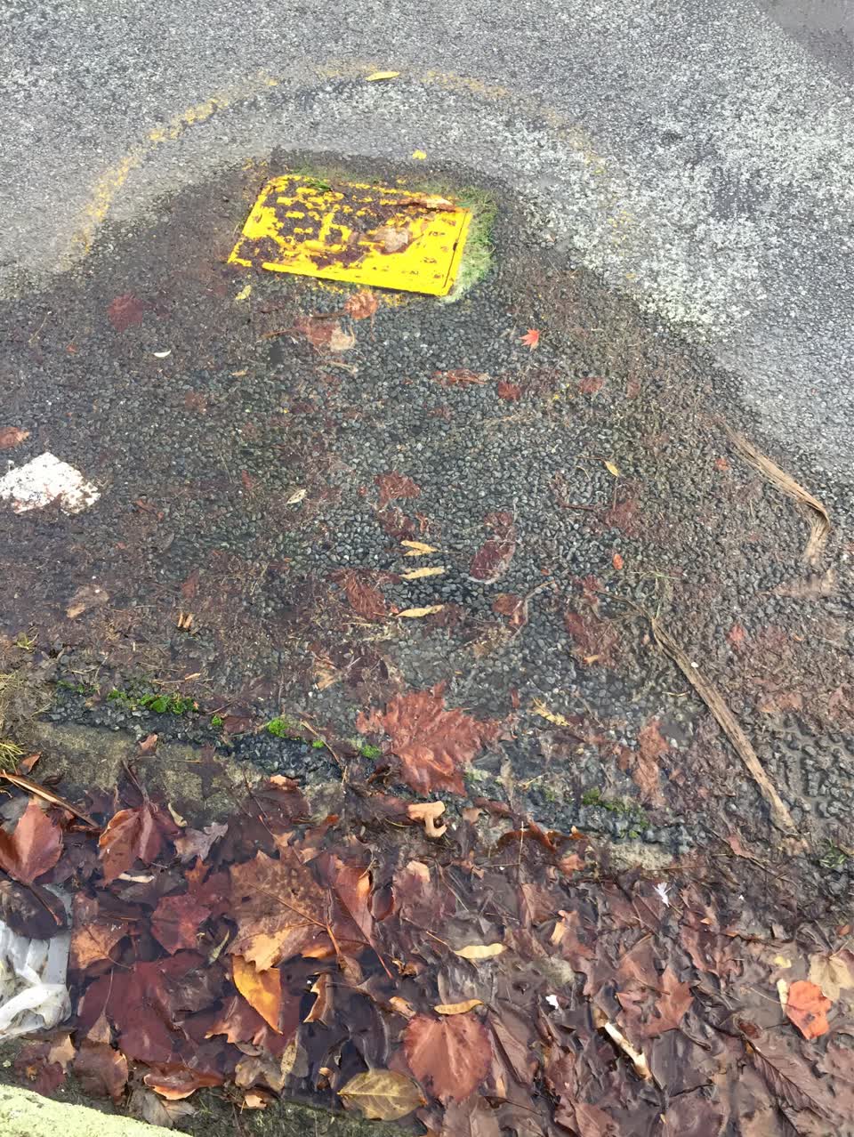 The photograph attached to this water supply report