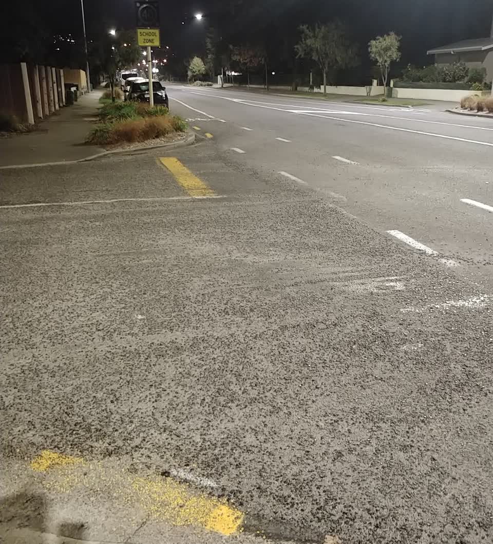 The photograph attached to this roading/streets report