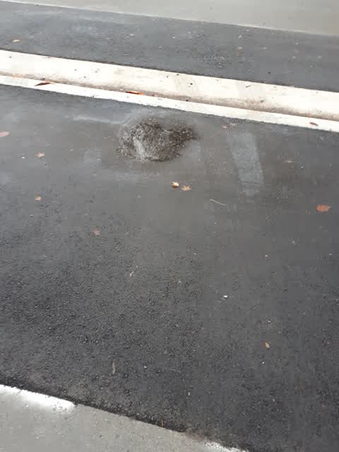 Roading/Streets, a report photo