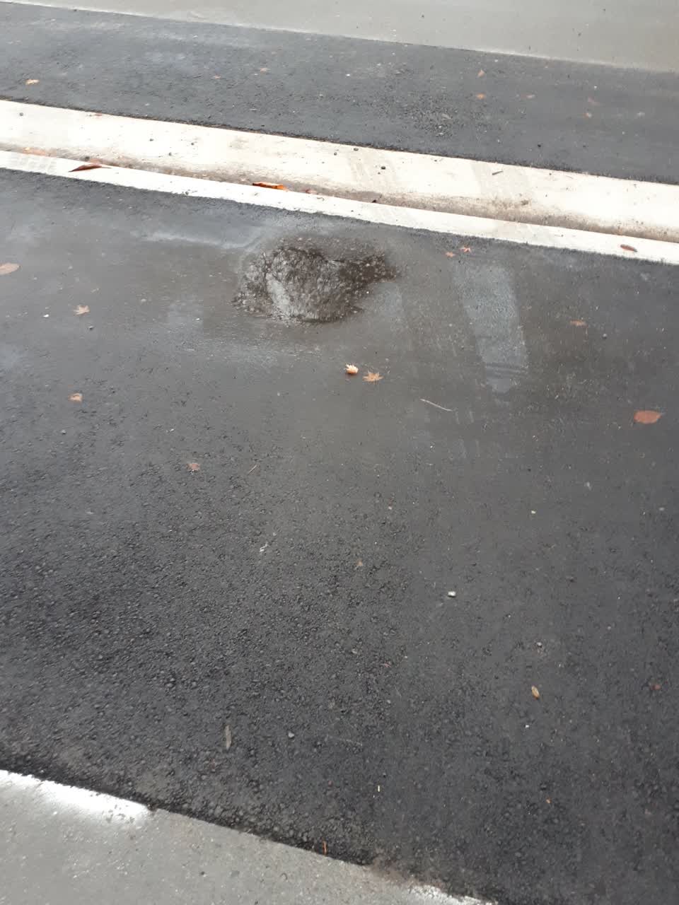 The photograph attached to this roading/streets report