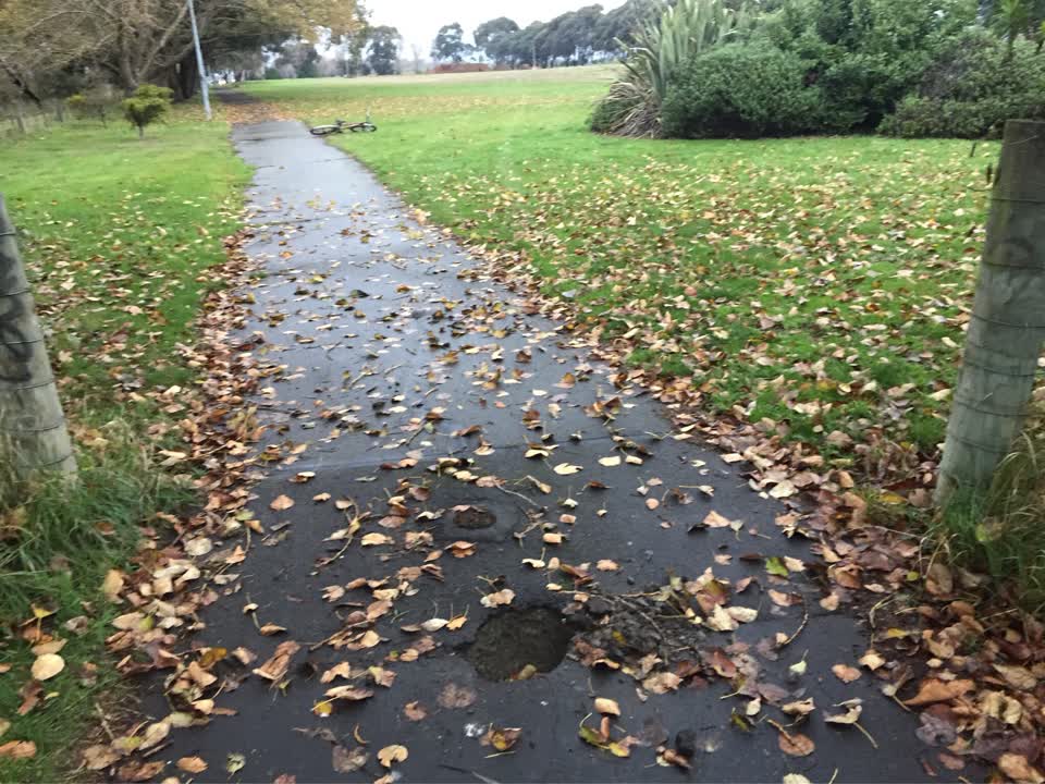 The photograph attached to this parks report