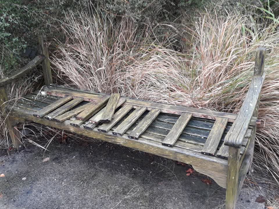 The photograph attached to this parks report