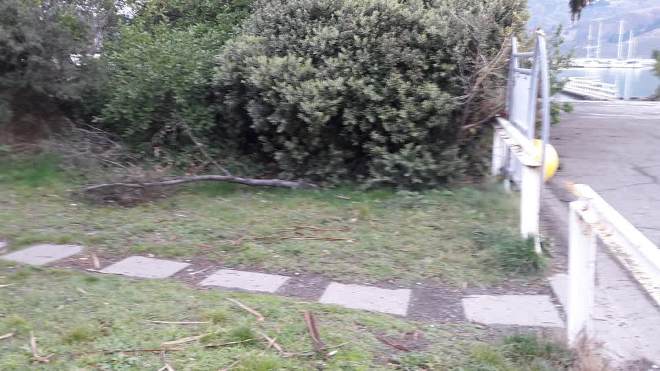 The photograph attached to this parks report
