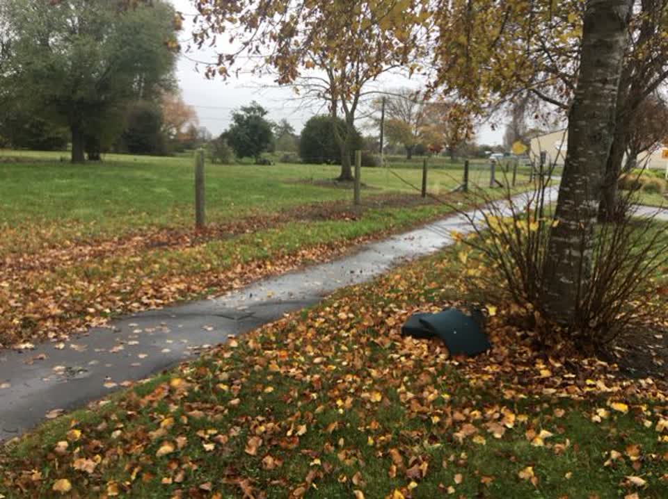 The photograph attached to this rubbish/recycling report