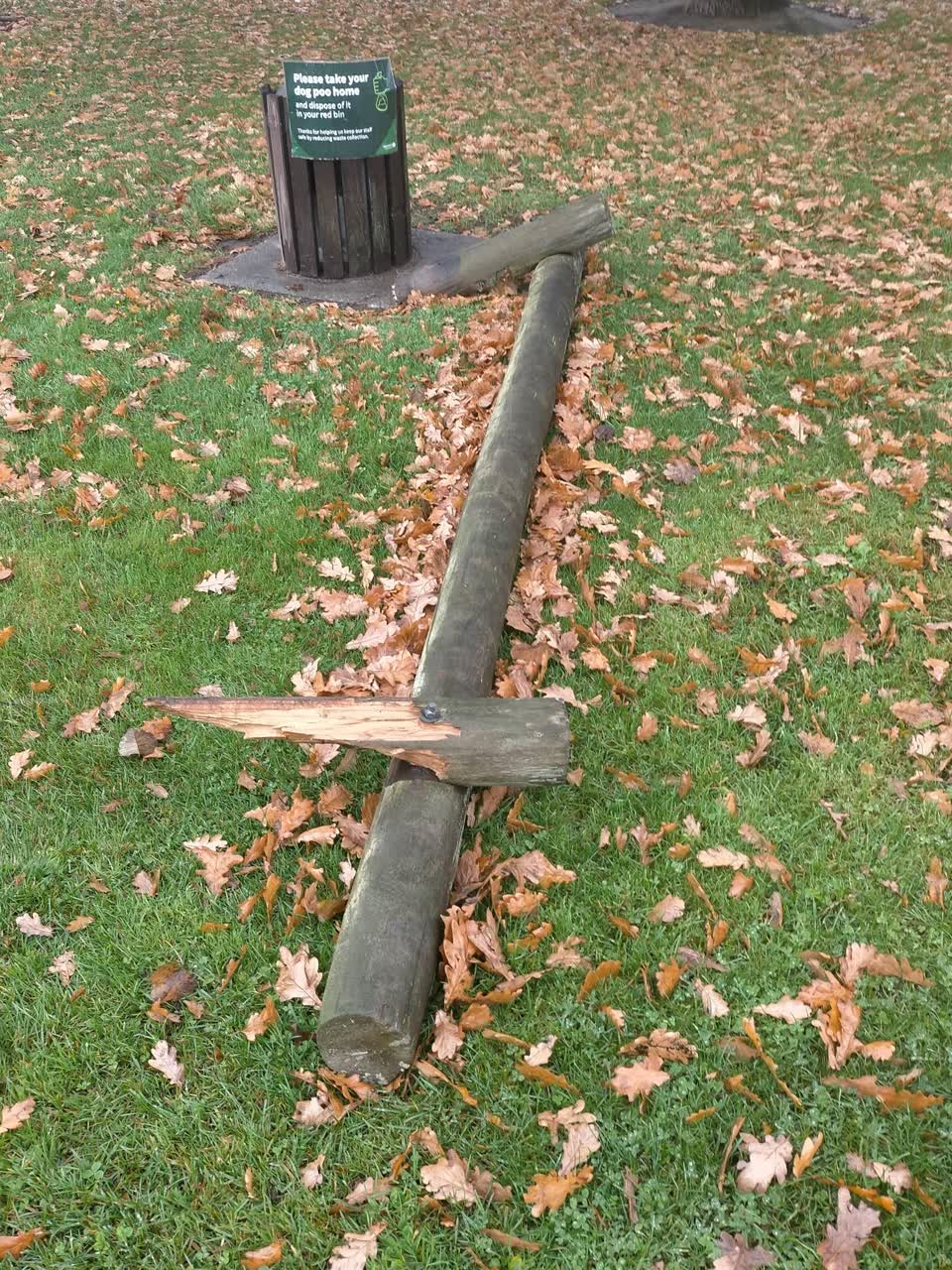 The photograph attached to this parks report