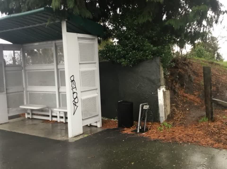 The photograph attached to this graffiti report