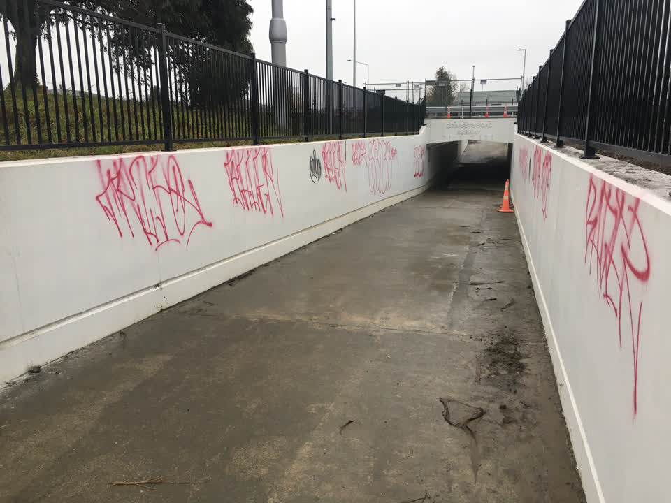 The photograph attached to this graffiti report