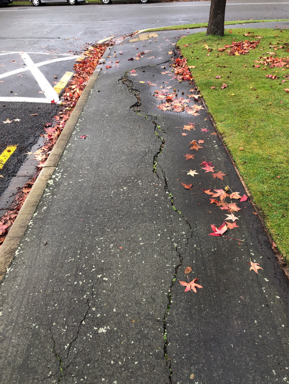 The photograph attached to this roading/streets report