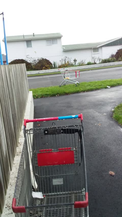 Rubbish/Recycling, a report photo