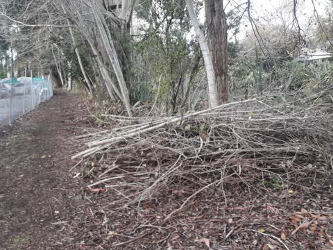 Rubbish/Recycling, a report photo
