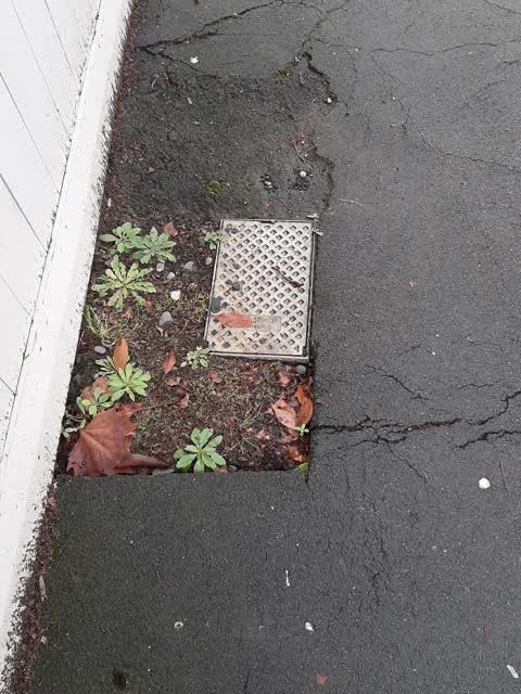Roading/Streets, a report photo