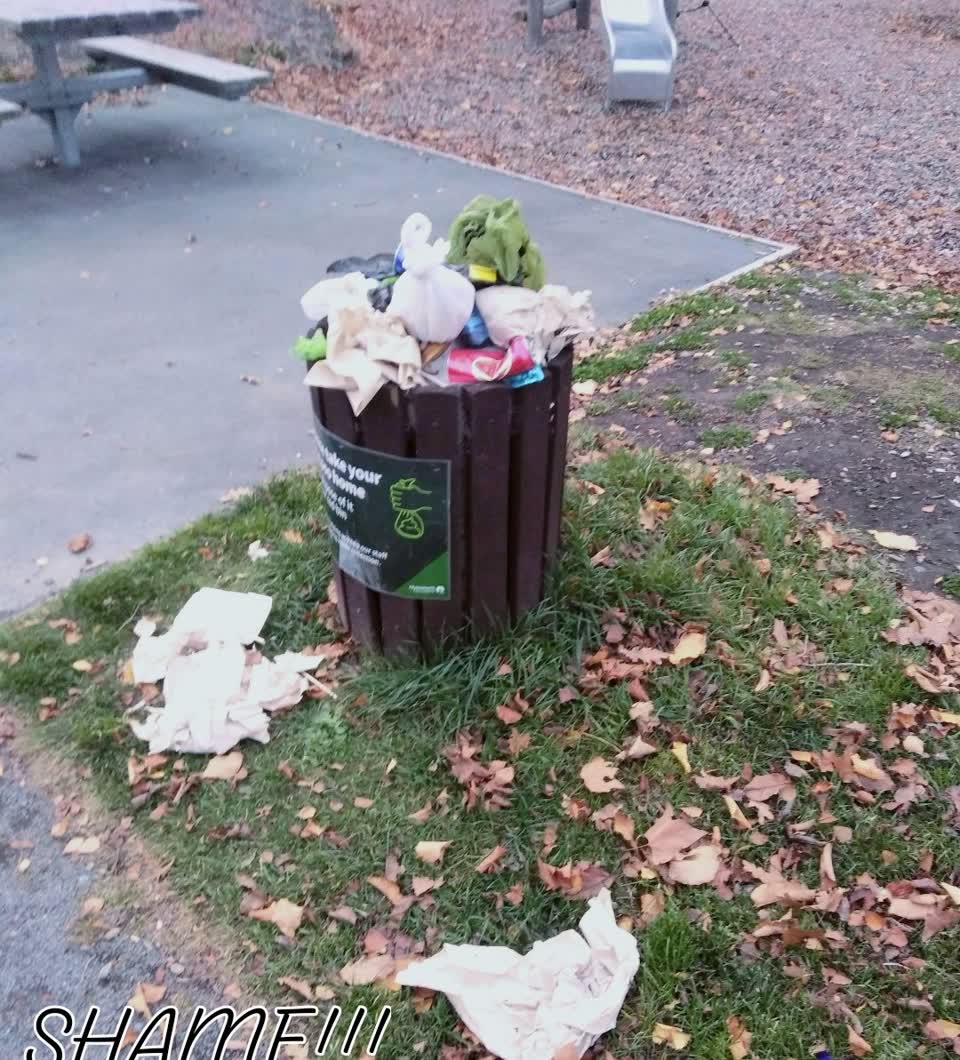 The photograph attached to this parks report