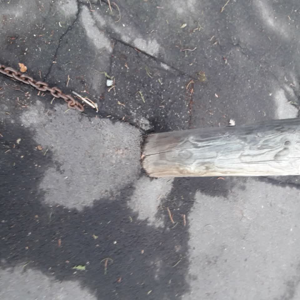 The photograph attached to this parks report