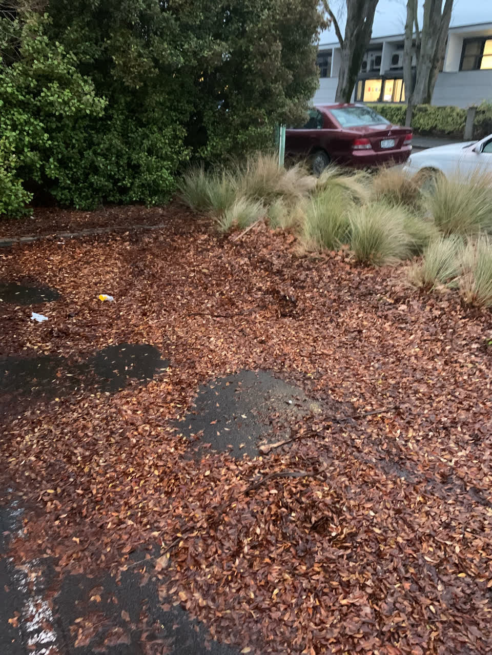 The photograph attached to this wastewater/stormwater report