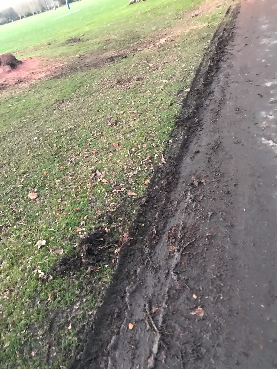 The photograph attached to this parks report