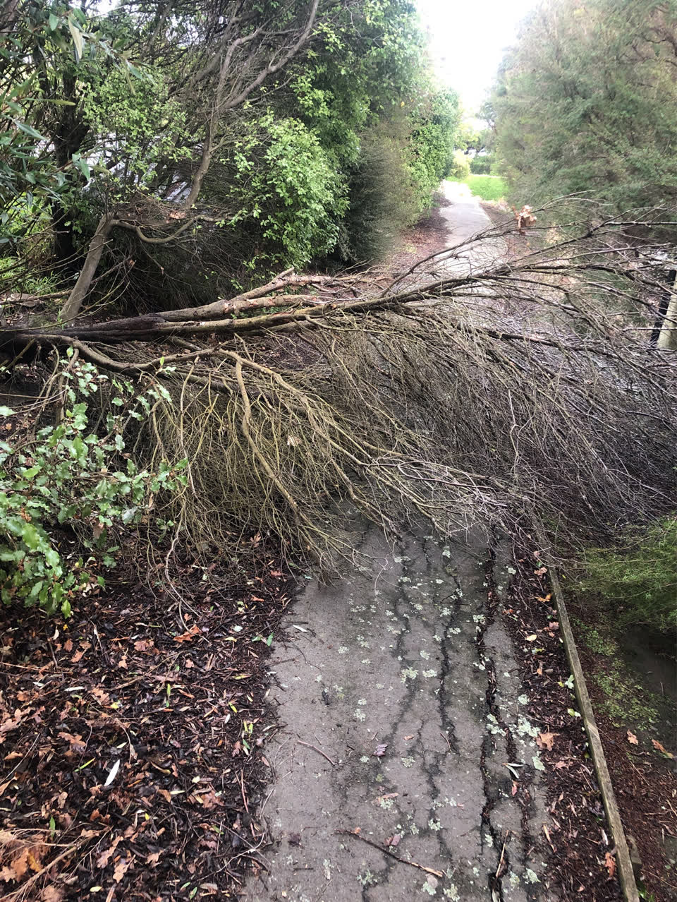 The photograph attached to this roading/streets report