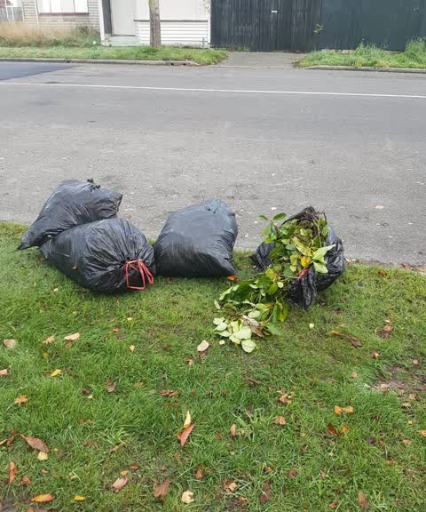 Rubbish/Recycling, a report photo