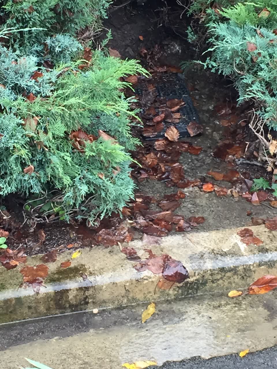 The photograph attached to this water supply report
