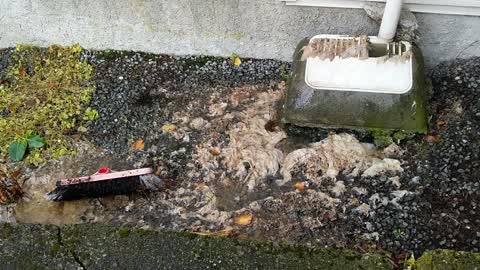 Wastewater/Stormwater, a report photo