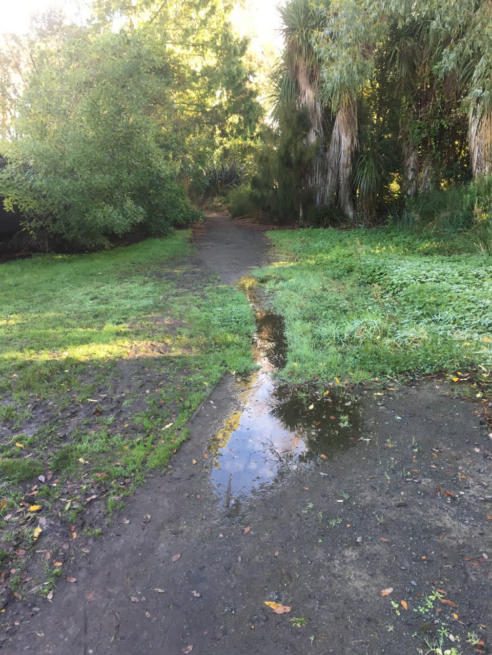 The photograph attached to this parks report