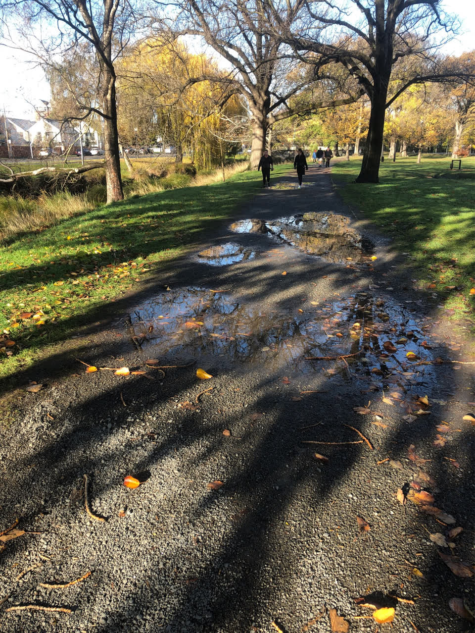 The photograph attached to this parks report