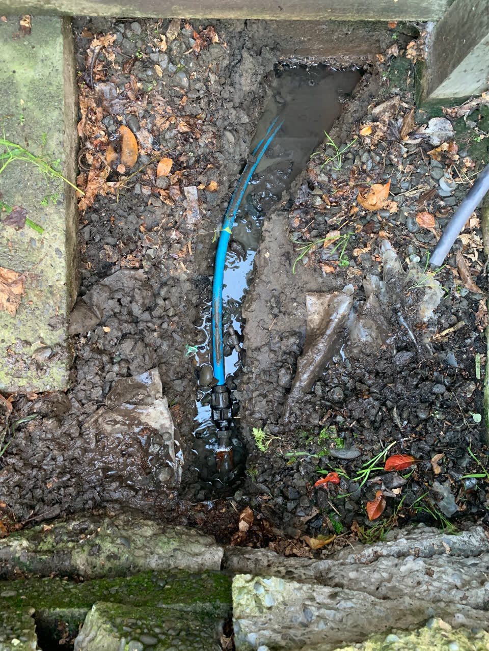 The photograph attached to this water supply report