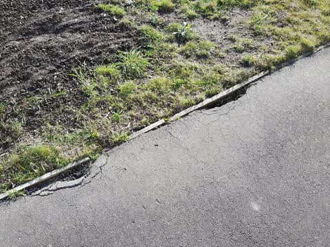 Roading/Streets, a report photo