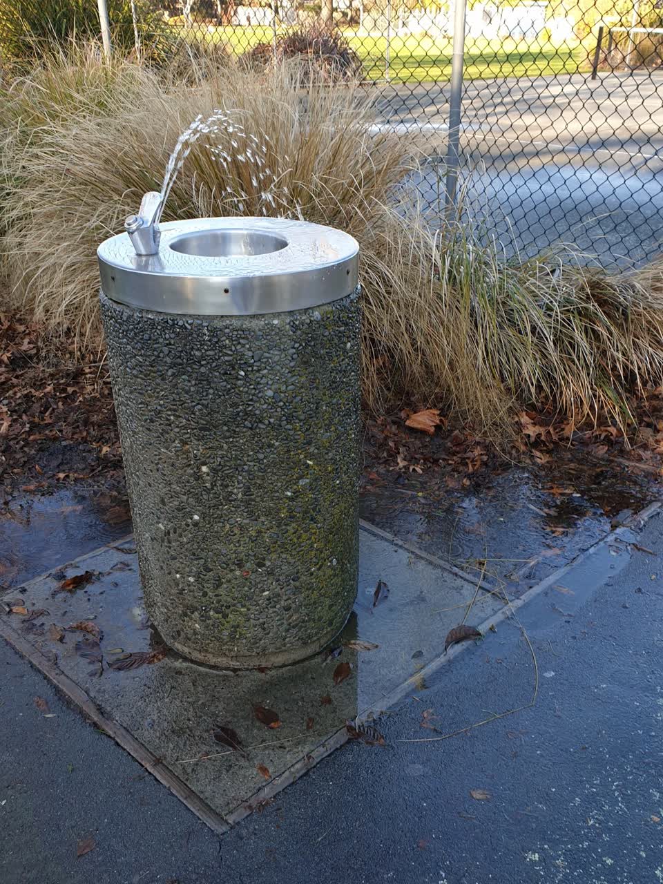 The photograph attached to this parks report