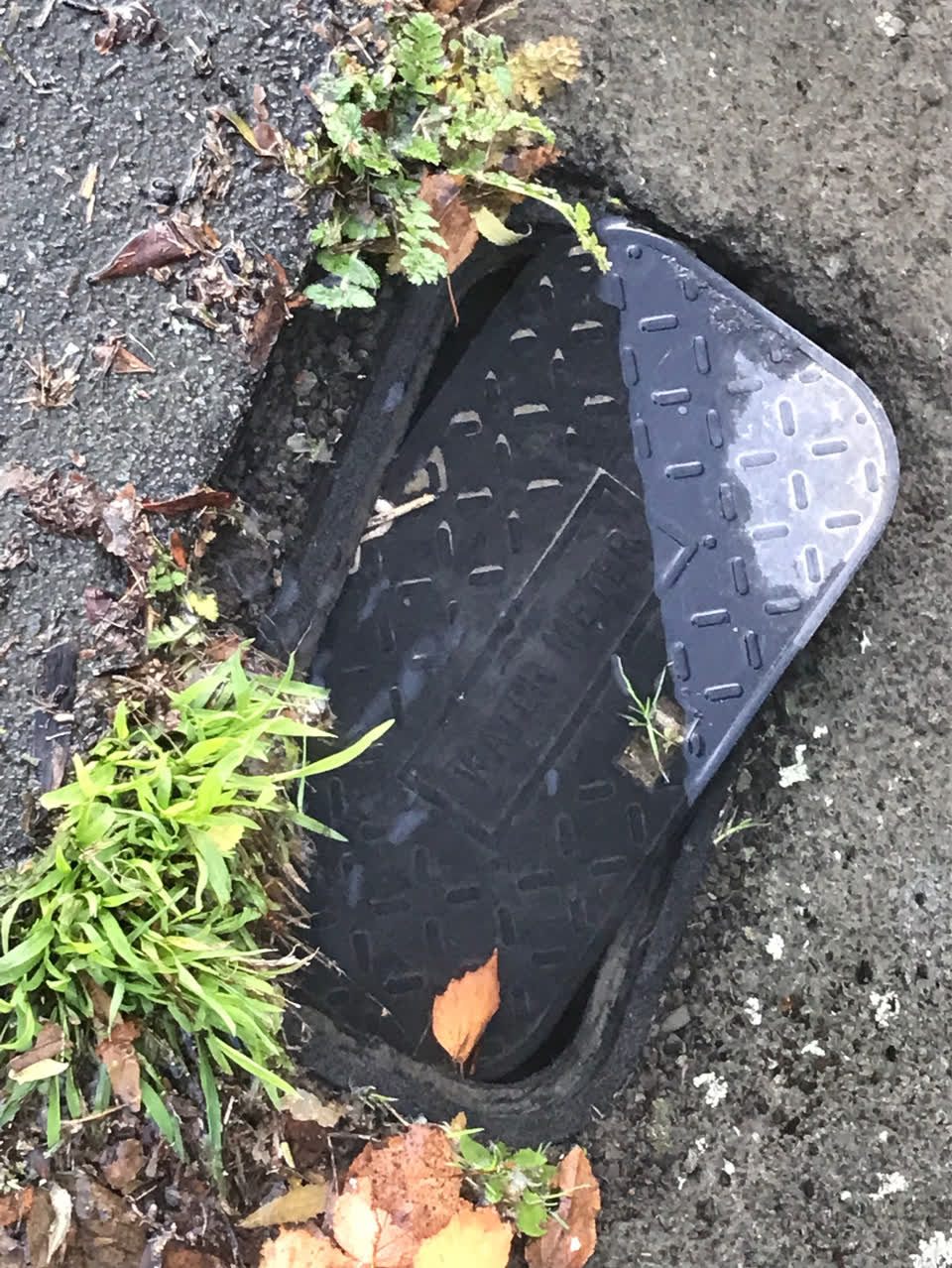 The photograph attached to this water supply report