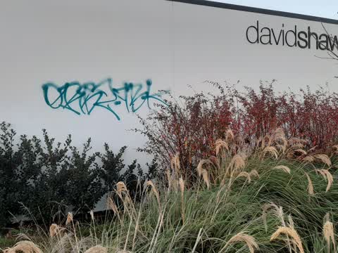 Graffiti, a report photo