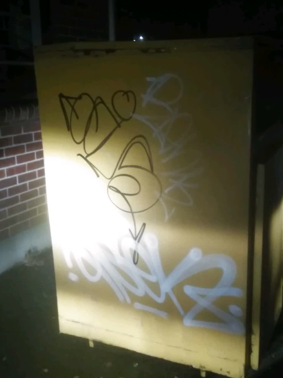 The photograph attached to this graffiti report