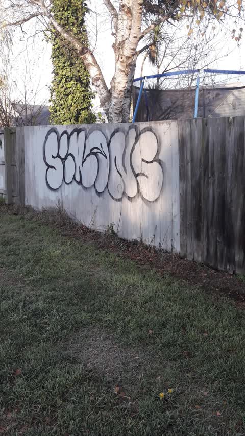 Graffiti, a report photo