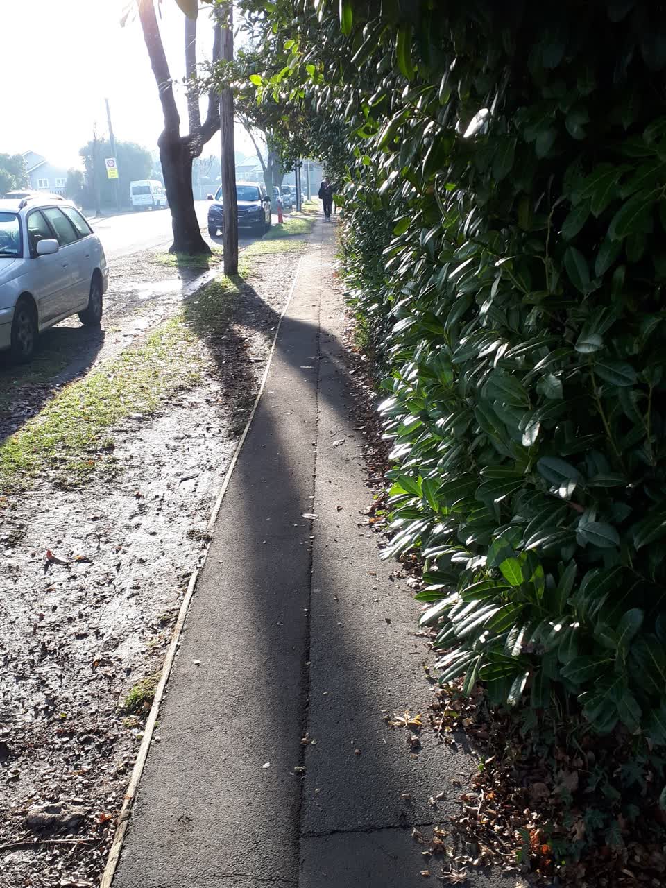 The photograph attached to this roading/streets report