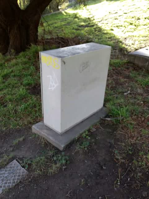 Graffiti, a report photo