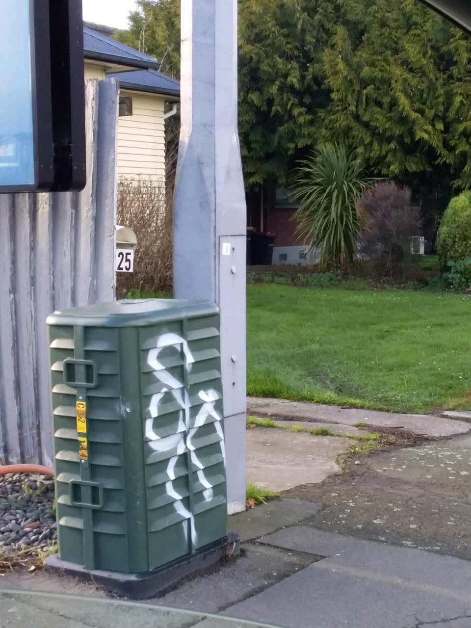 The photograph attached to this graffiti report