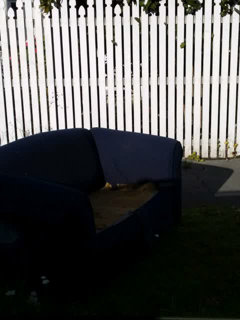 Rubbish/Recycling, a report photo