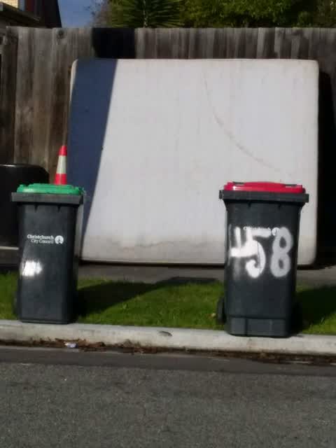 Rubbish/Recycling, a report photo