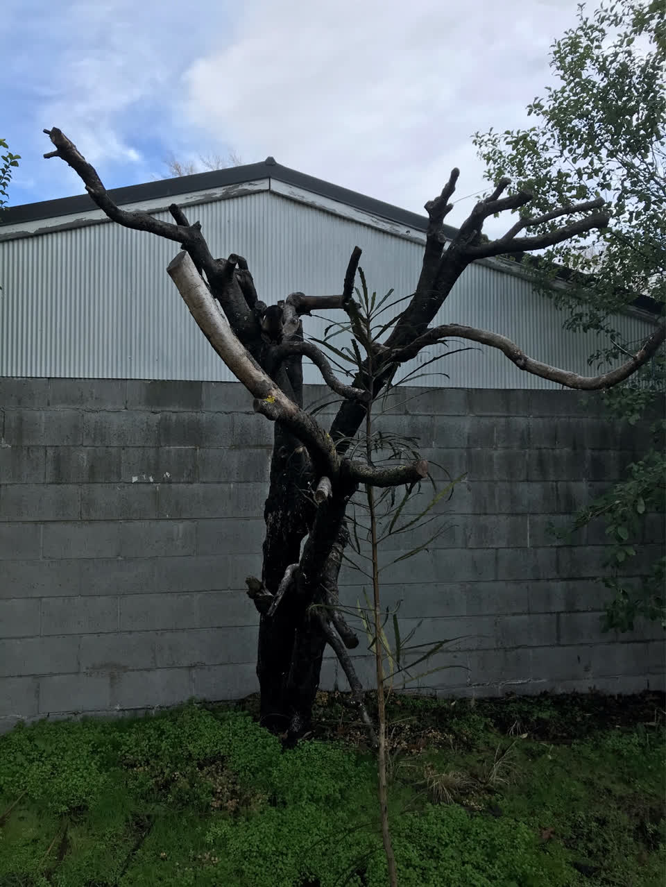 The photograph attached to this parks report