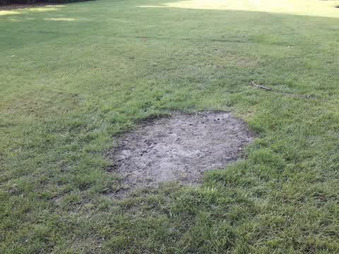 Parks, a report photo
