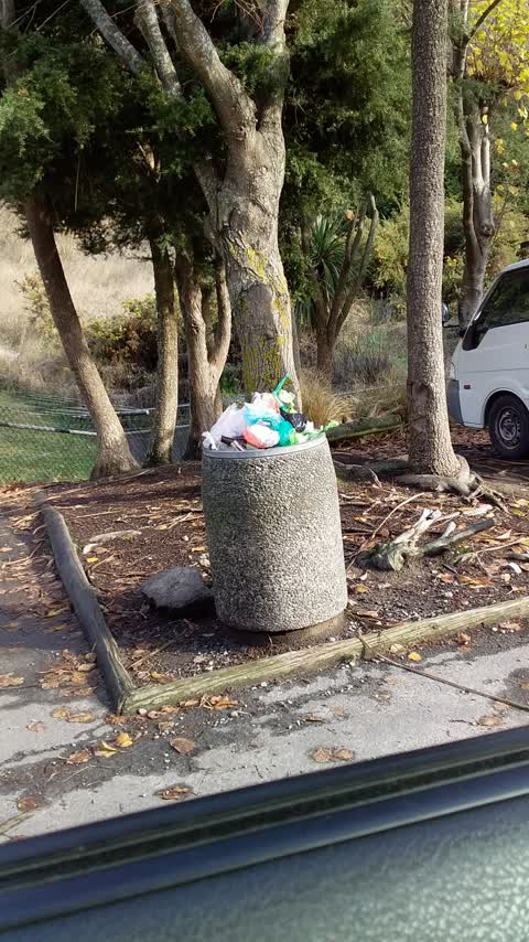 Rubbish/Recycling, a report photo