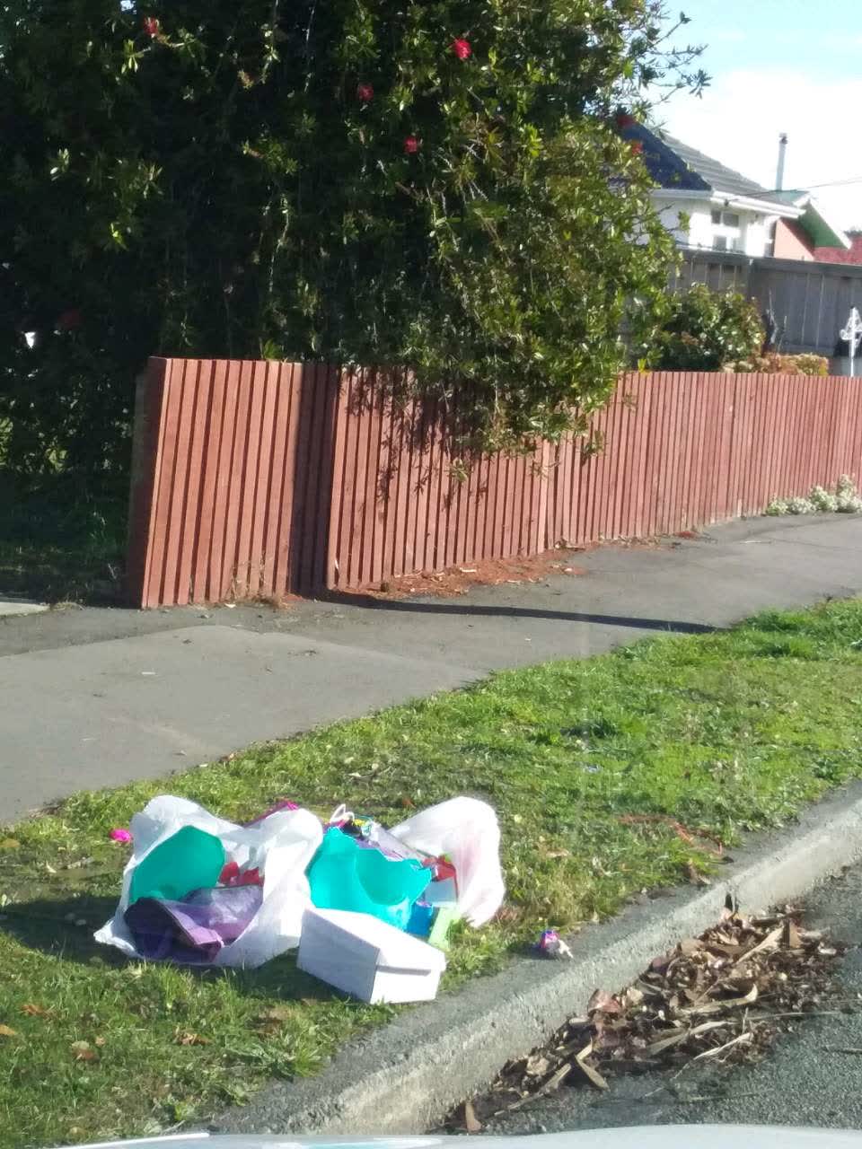 The photograph attached to this rubbish/recycling report