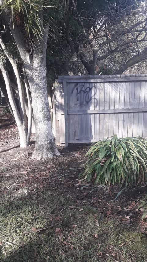 Graffiti, a report photo