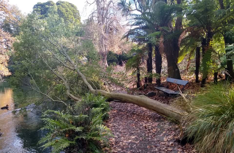 The photograph attached to this parks report