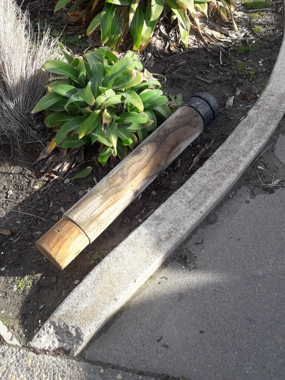 The photograph attached to this parks report