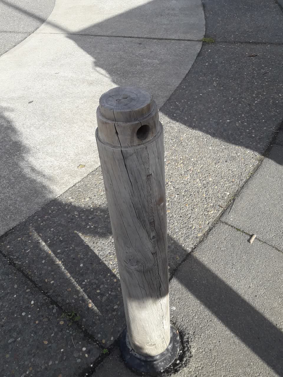 The photograph attached to this parks report
