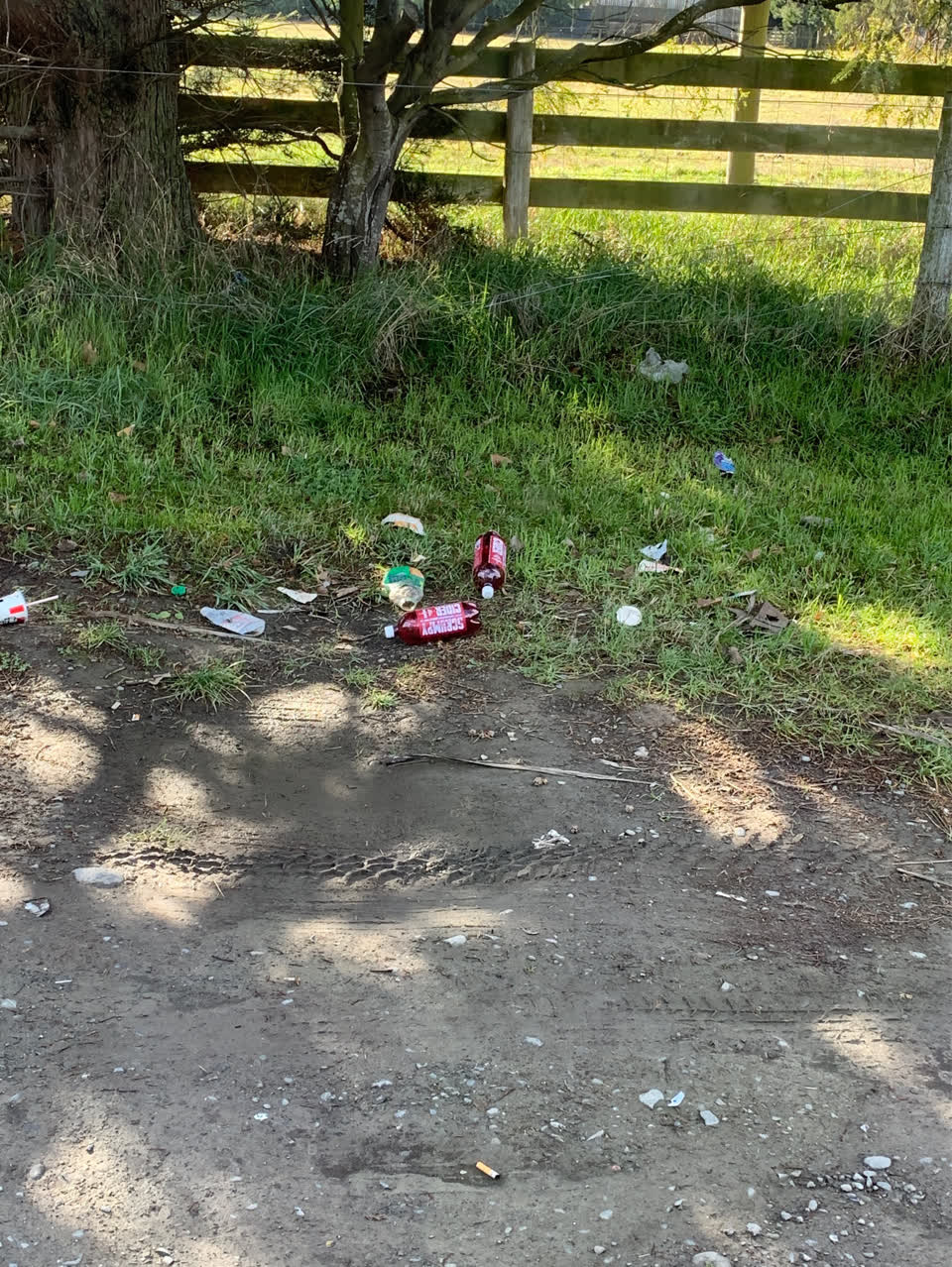 The photograph attached to this rubbish/recycling report