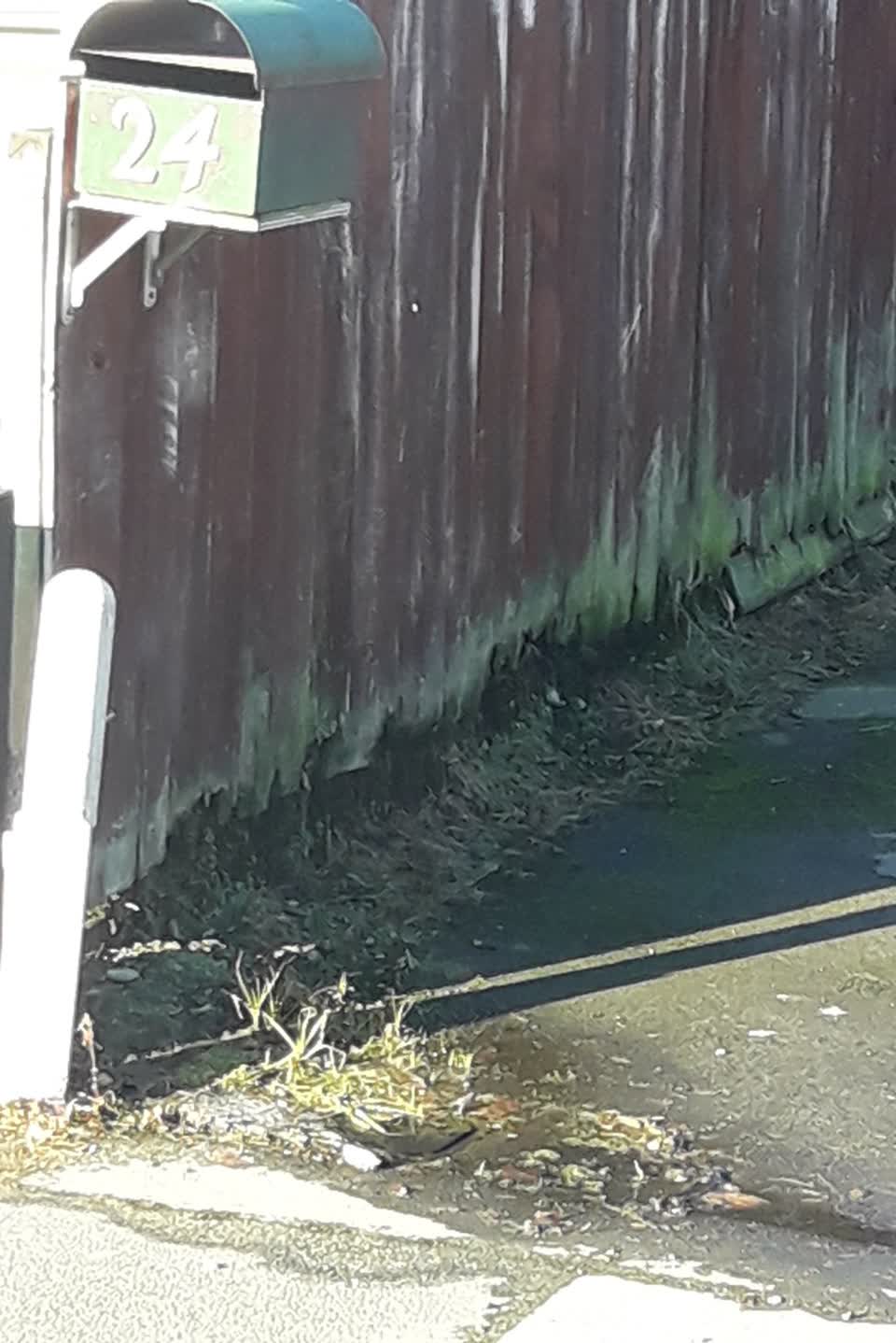 The photograph attached to this water supply report