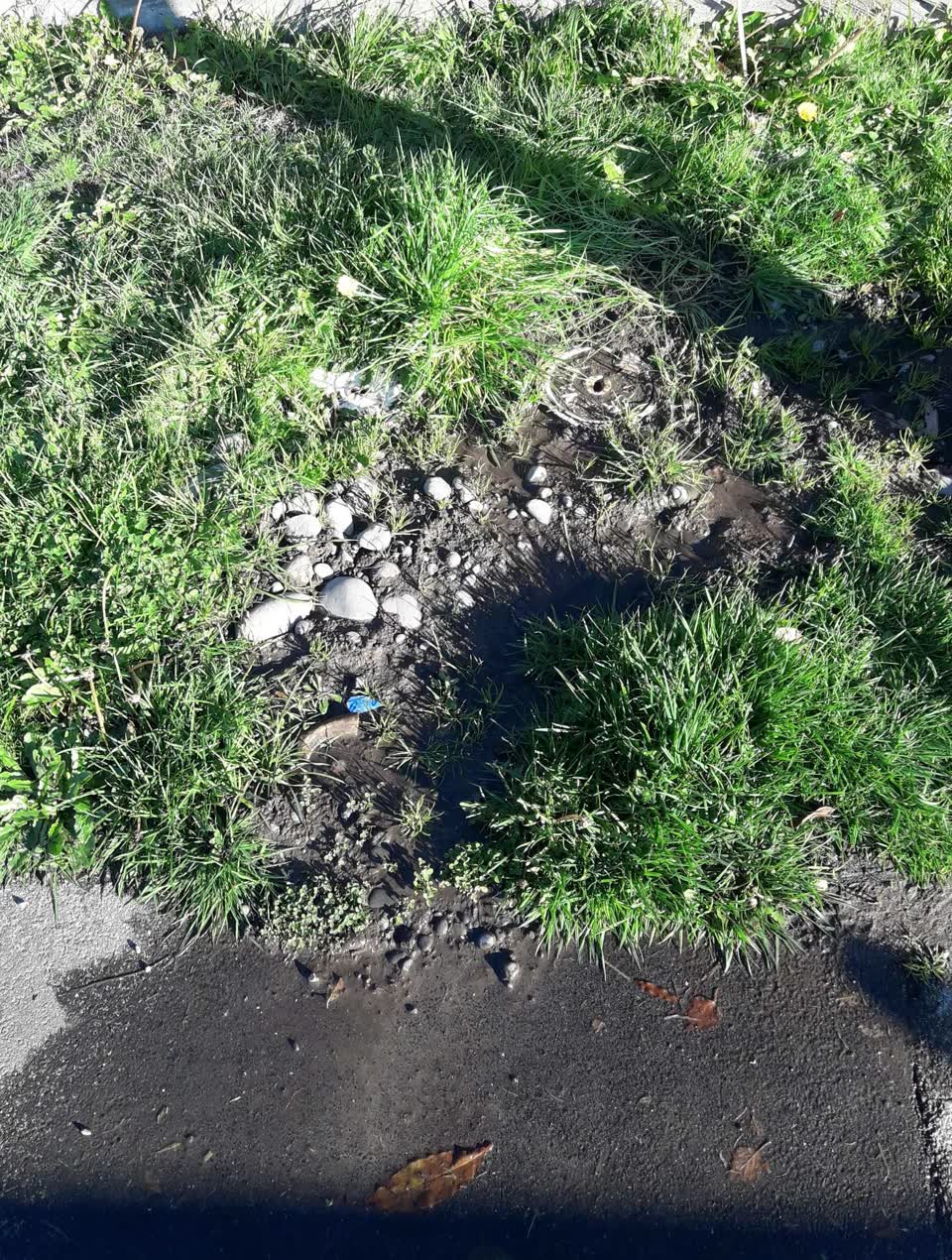The photograph attached to this water supply report